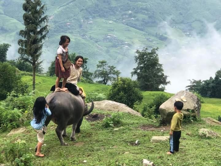 Hmong Eco Villas Sapa Εξωτερικό φωτογραφία